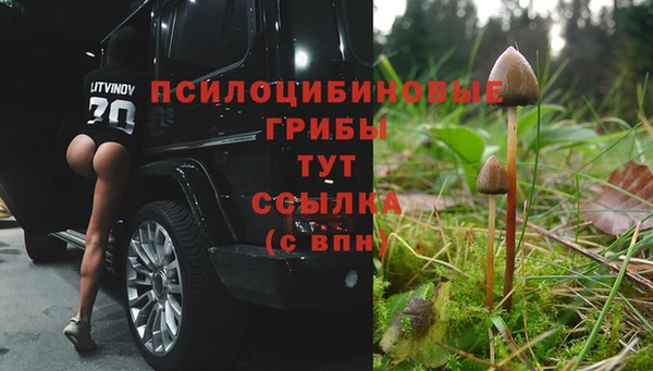 бошки Волоколамск