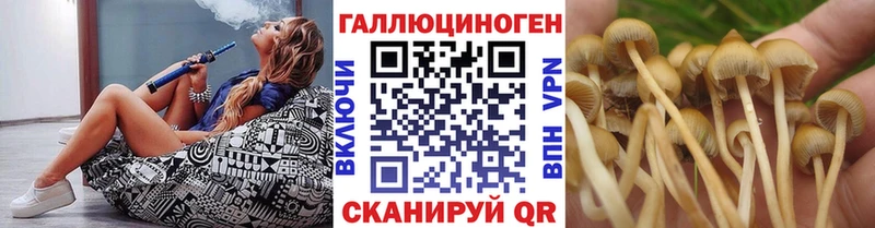 Псилоцибиновые грибы GOLDEN TEACHER Ивдель